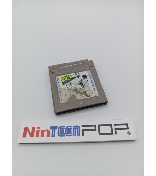 Nintendo Game Boy Color - Gris