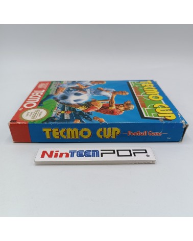 Tecmo Cup Football Game NES