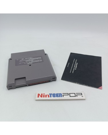 The NewZealand Story NES