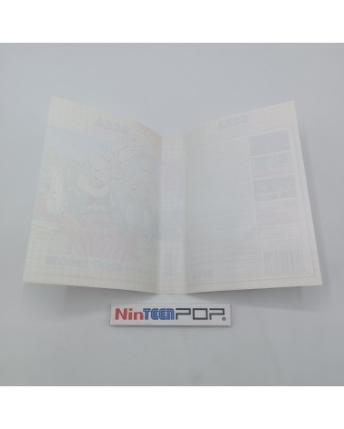 Astérix and the Great Rescue Master System