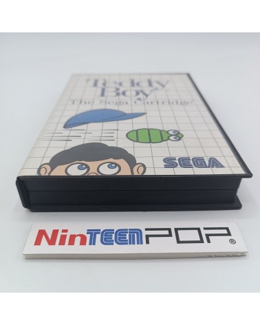 Teddy Boy Master System