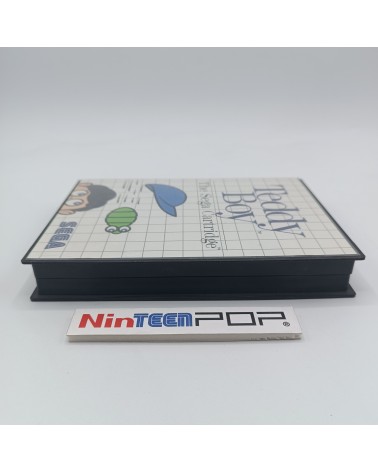 Teddy Boy Master System