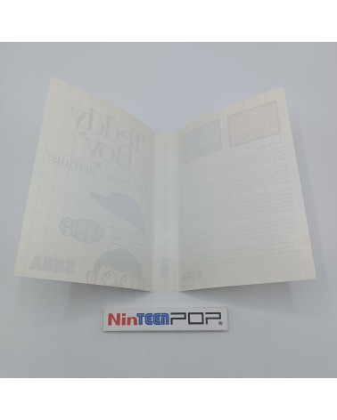 Teddy Boy Master System