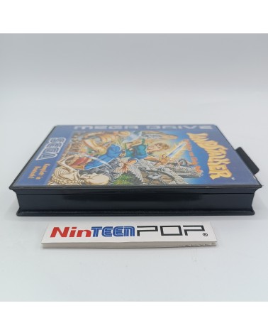 Landstalker Mega Drive