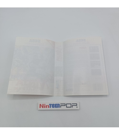 Ninja Gaiden Master System