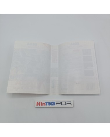 Ninja Gaiden Master System