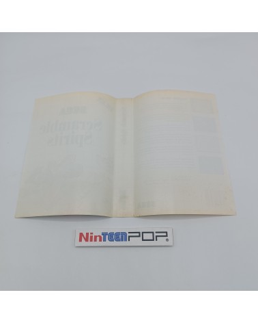 Scramble Spirits Master System
