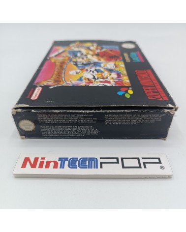 Breath of Fire II Super Nintendo