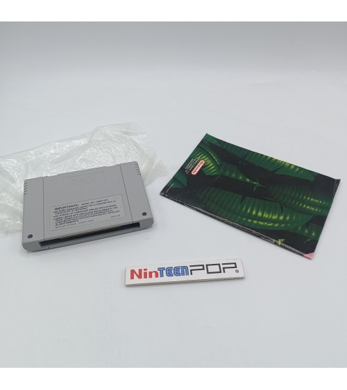 Donkey Kong Country Super Nintendo