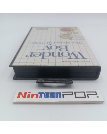 Wonder Boy Master System