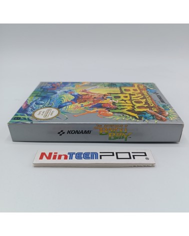 The Adventures of Bayou Billy NES