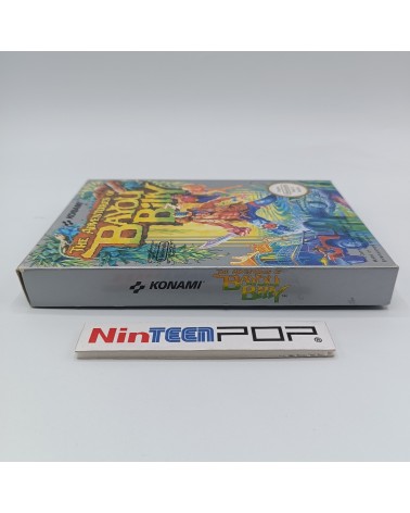 The Adventures of Bayou Billy NES