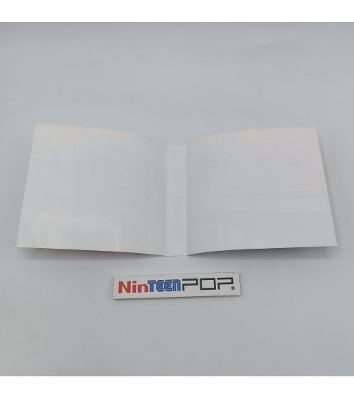 Mega Man ZX Nintendo DS