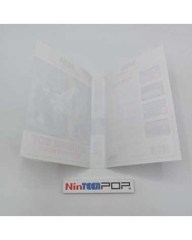 Wonder Boy in Monster World Master System