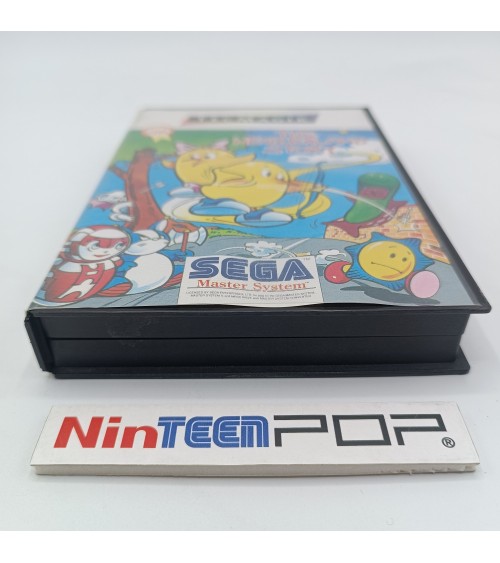 The NewZealand Story Master System