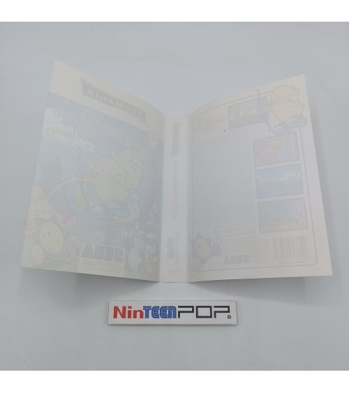 The NewZealand Story Master System