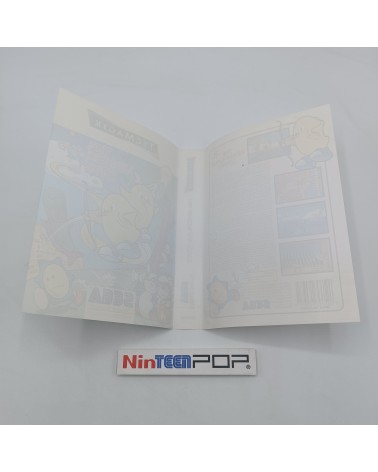 The NewZealand Story Master System