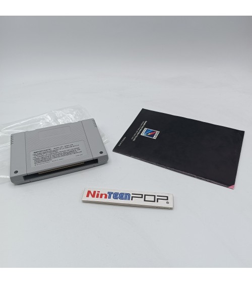Skyblazer Super Nintendo