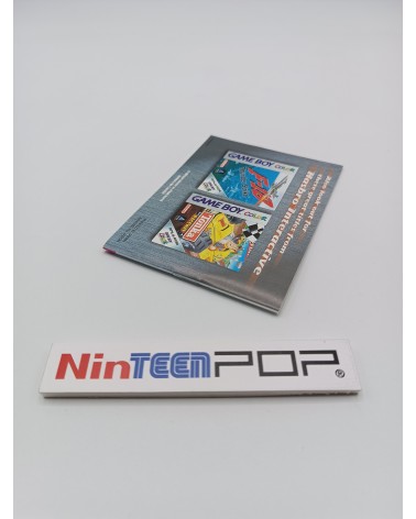 Manual Pong Game Boy Color